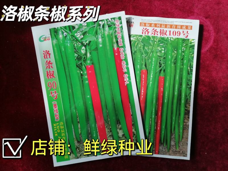 洛椒条椒109号辣味浓郁线椒新品光滑顺直丰产抗病综合性优