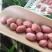 2022年新货白沙花生米新粉红皮花生