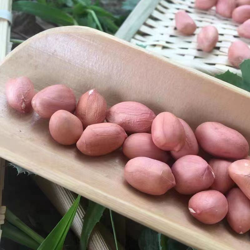 2022年新货白沙花生米新粉红皮花生