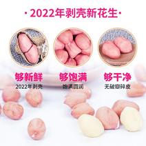 2022年新货白沙花生米新粉红皮花生