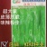洛椒75号超大果薄皮椒种子皮薄质嫩味辣