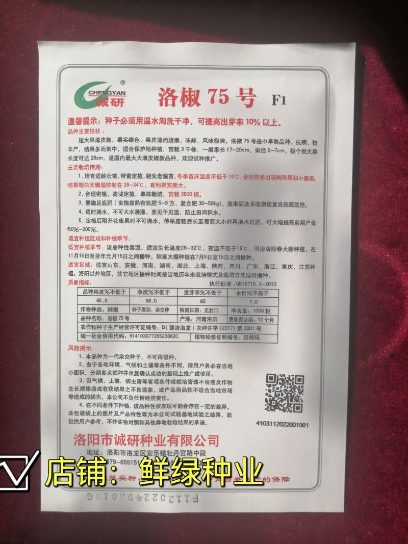 洛椒75号超大果薄皮椒种子皮薄质嫩味辣