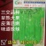 洛椒75号超大果薄皮椒种子皮薄质嫩味辣
