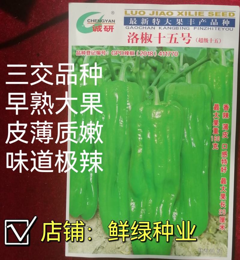 洛椒75号超大果薄皮椒种子皮薄质嫩味辣