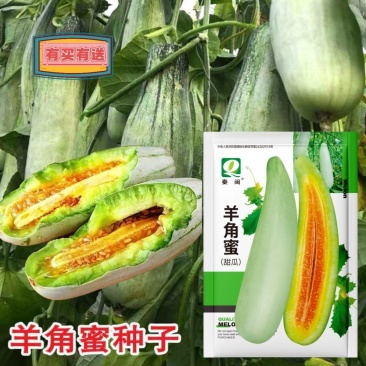 羊角蜜甜瓜种子梨瓜种子早熟皮薄甘甜香润肉质细嫩多汁农家