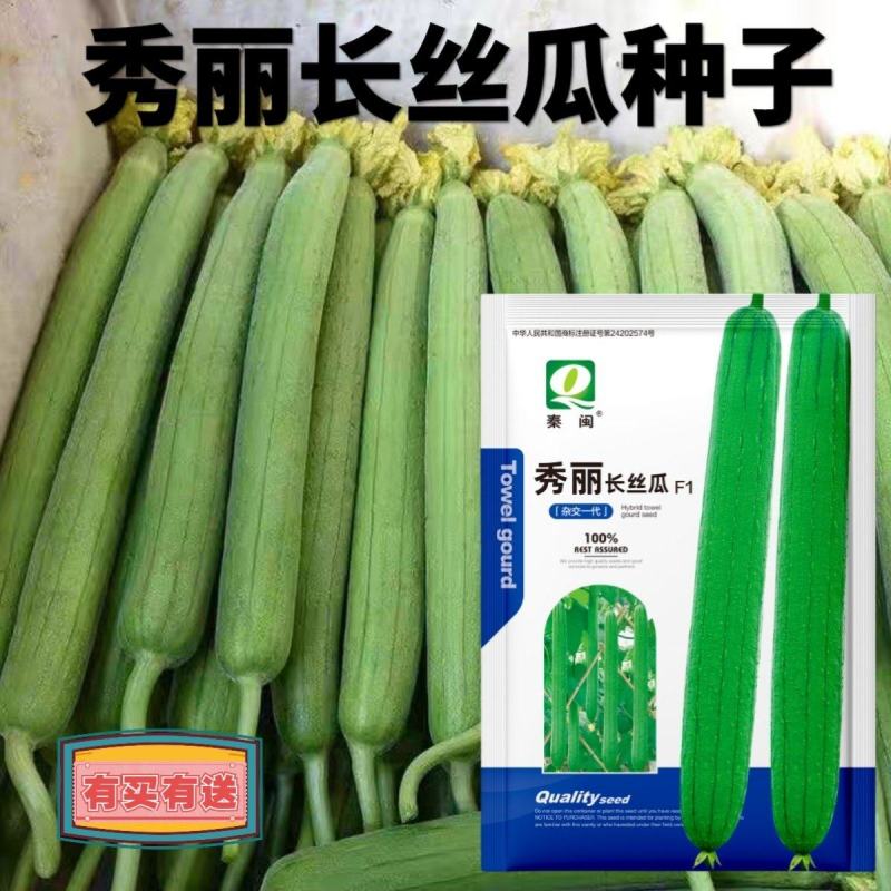 秀丽长丝瓜种子高产杂交新品种丝瓜早熟南方香丝瓜种蔬菜农户
