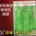 洛椒超越五号大果薄皮椒优于苏五商品性佳早熟品种可提前上市