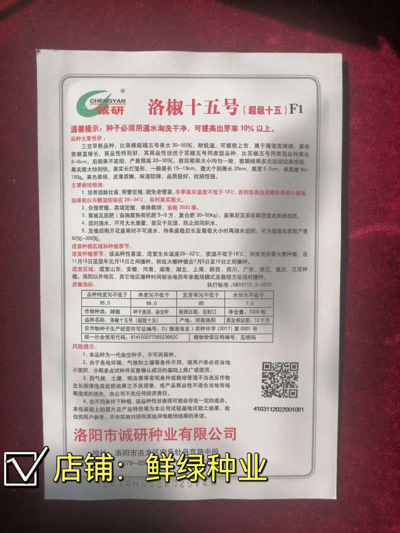 三交早熟薄皮椒种子洛椒十五号皮薄质嫩品质好商品性优