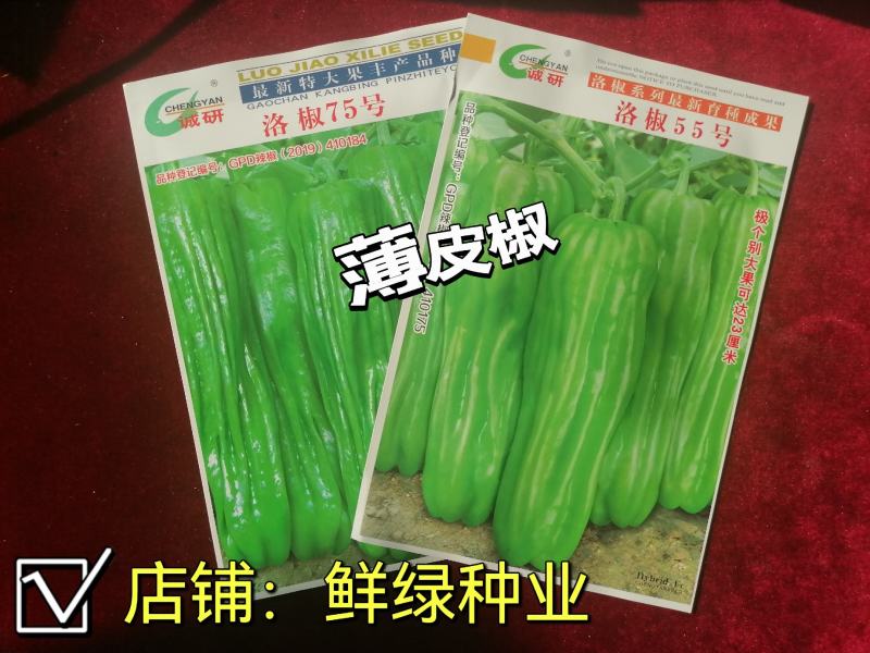 三交早熟薄皮椒种子洛椒十五号皮薄质嫩品质好商品性优