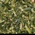 玉米桔秆饲料