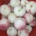 冬桃大量上市了，半斤起步持续走货