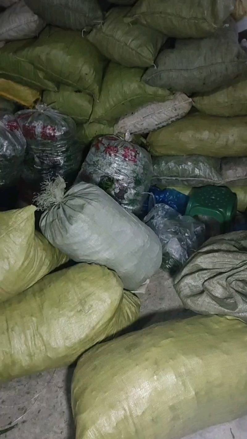 去把青线，去把红线产地直发