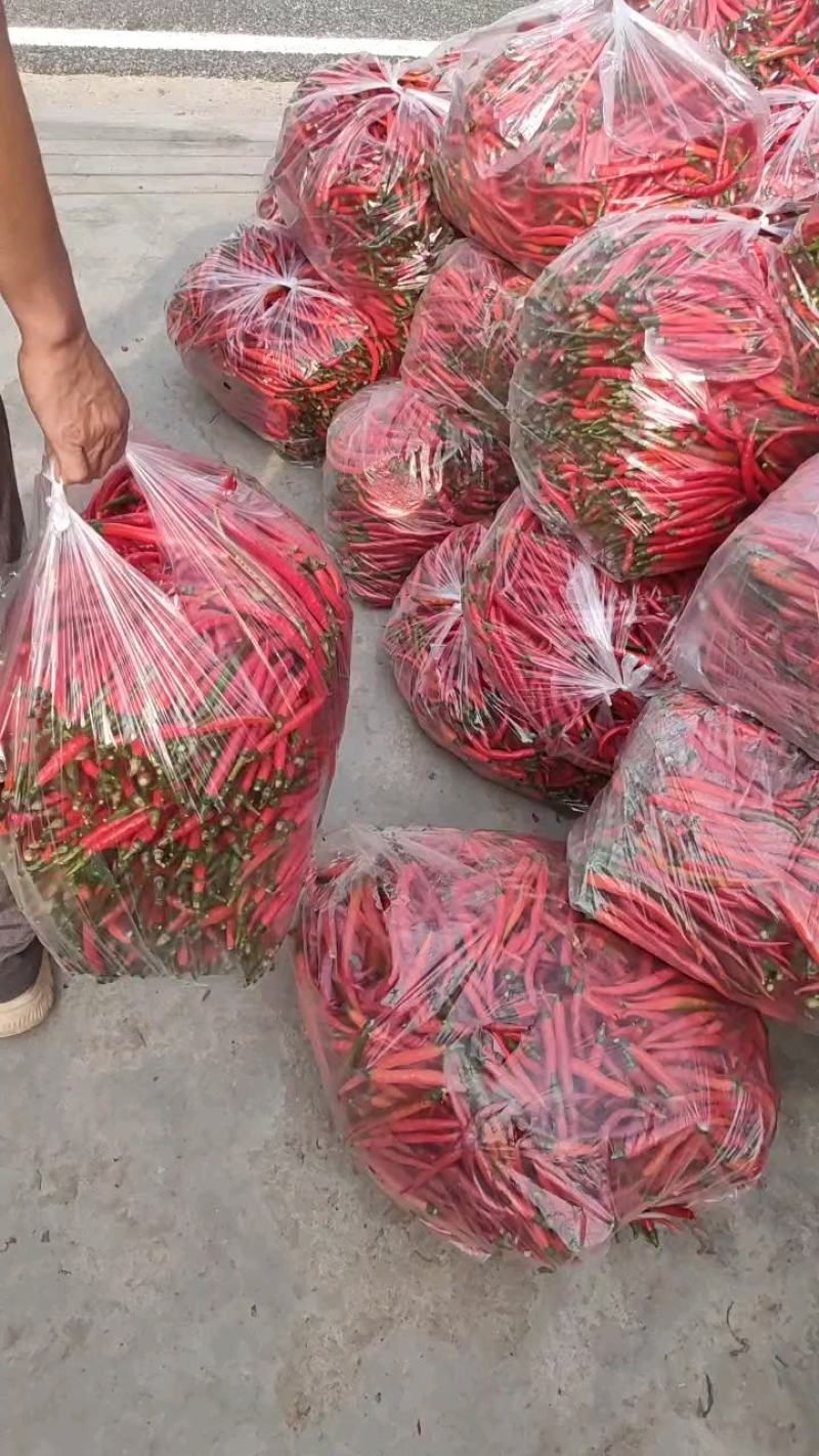 去把青线，去把红线产地直发