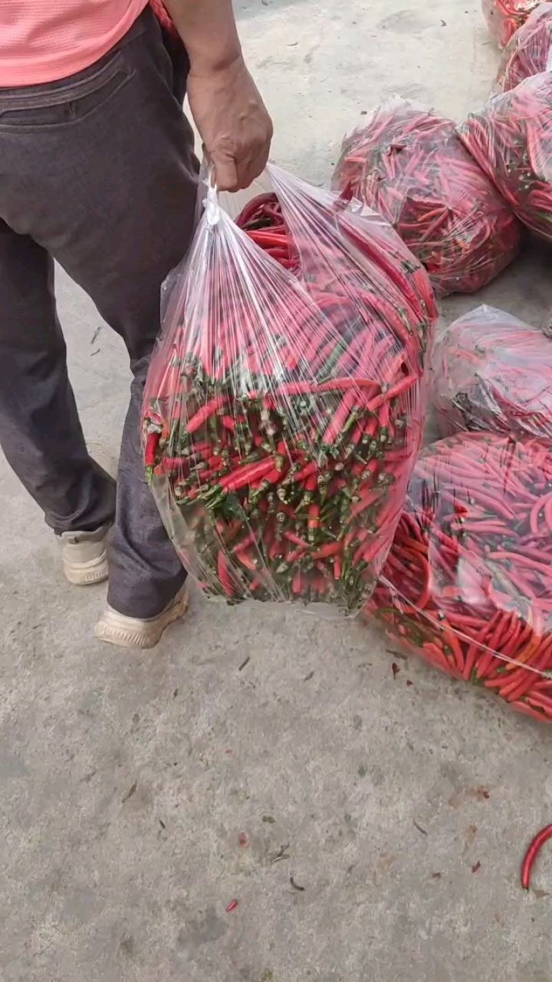 去把青线，去把红线产地直发