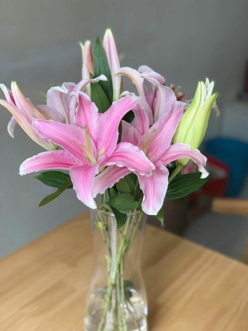 百合花西伯利亚索尔邦香水百合批发云南鲜花批发