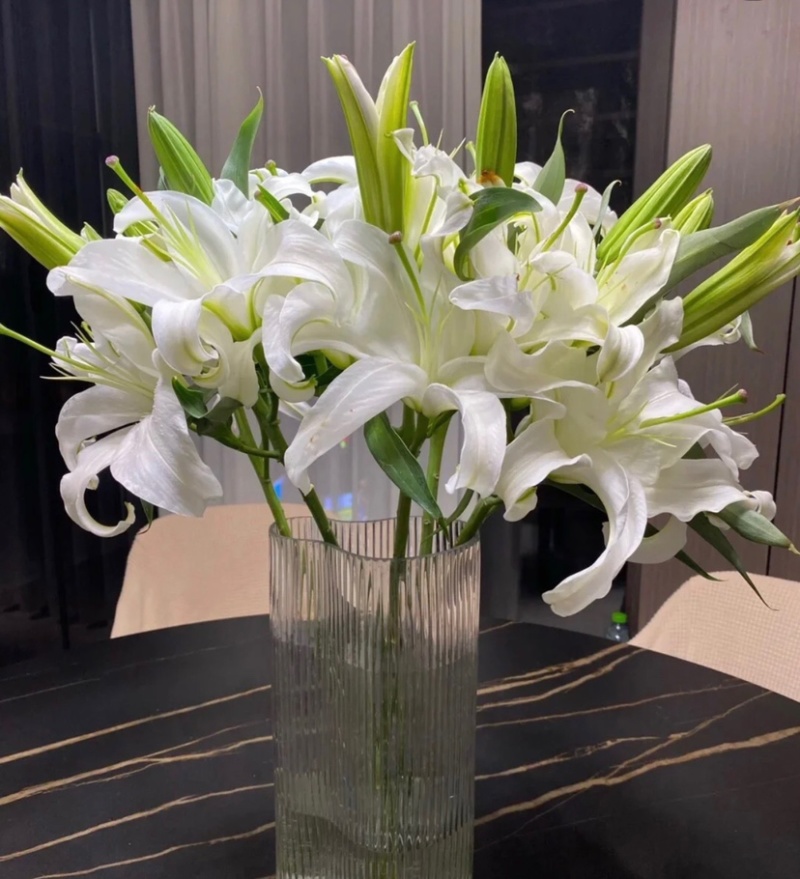 百合花西伯利亚索尔邦香水百合批发云南鲜花批发