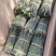基地铁皮石斛批发