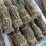 基地铁皮石斛批发