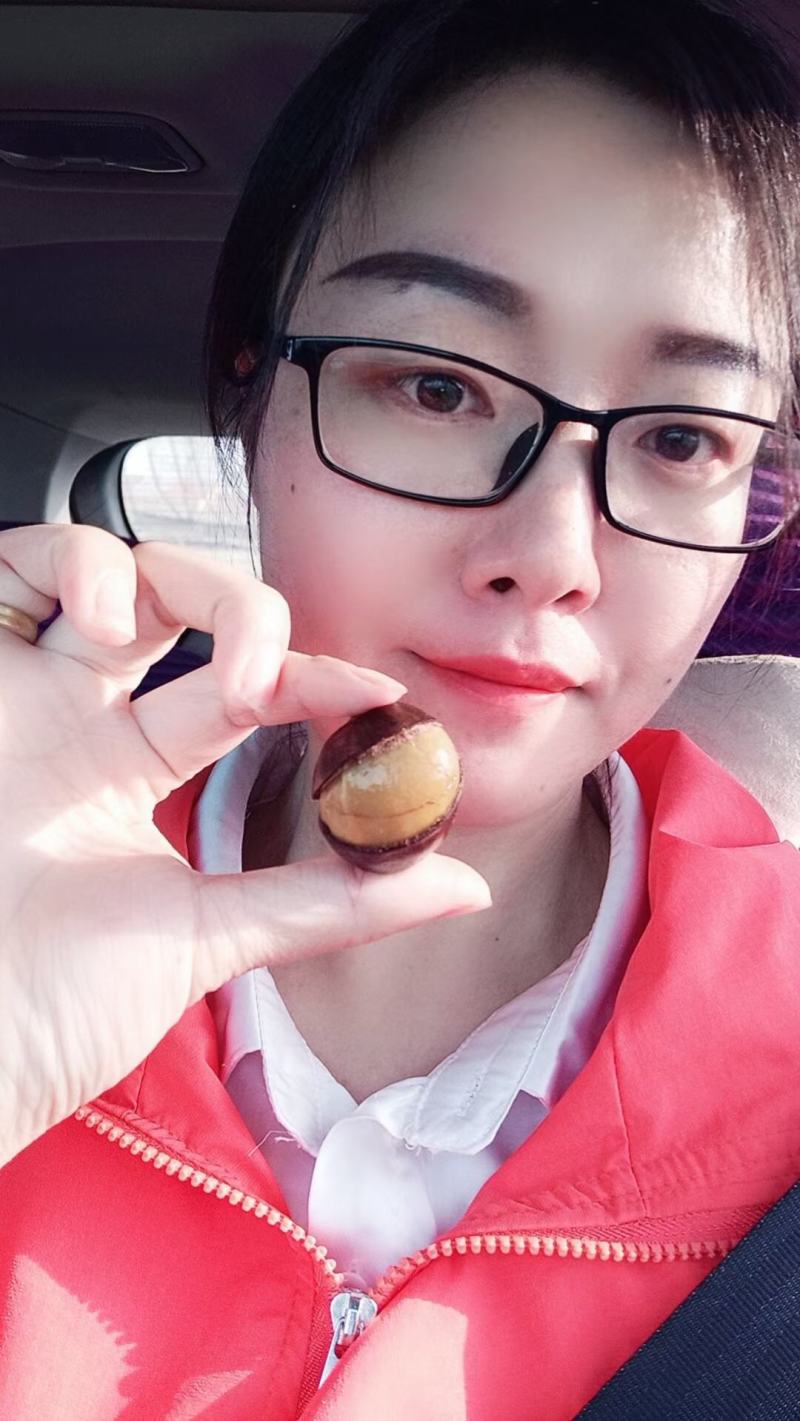 开口笑板栗，开口栗子，糖炒栗子代工