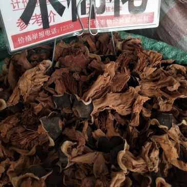 木棉花