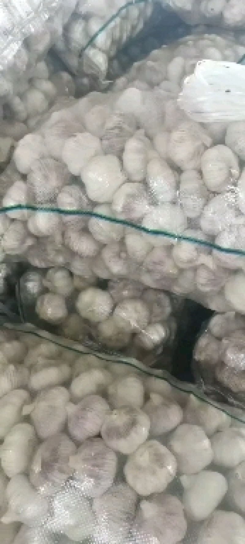 中牟县优质紫皮大蒜头加工中心。。。。。。，