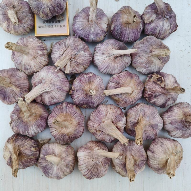 中牟县优质紫皮大蒜头加工中心。。。。。。，