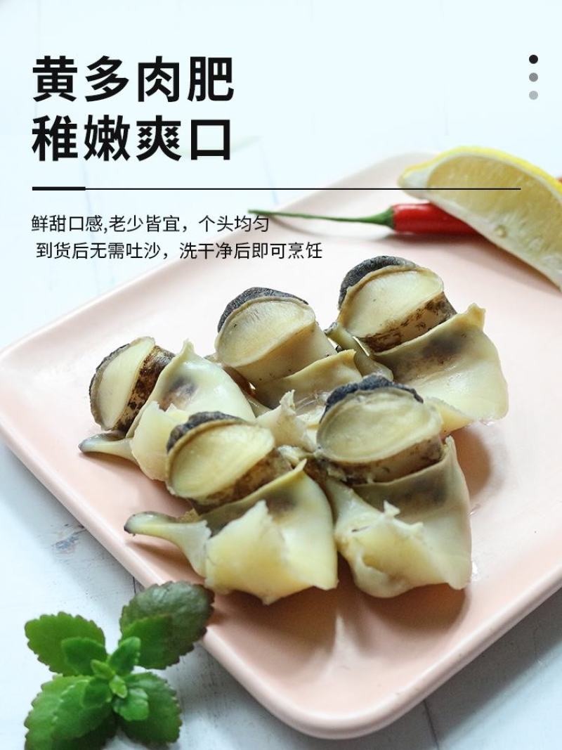 海螺肉，一箱20斤百分之20冰衣
