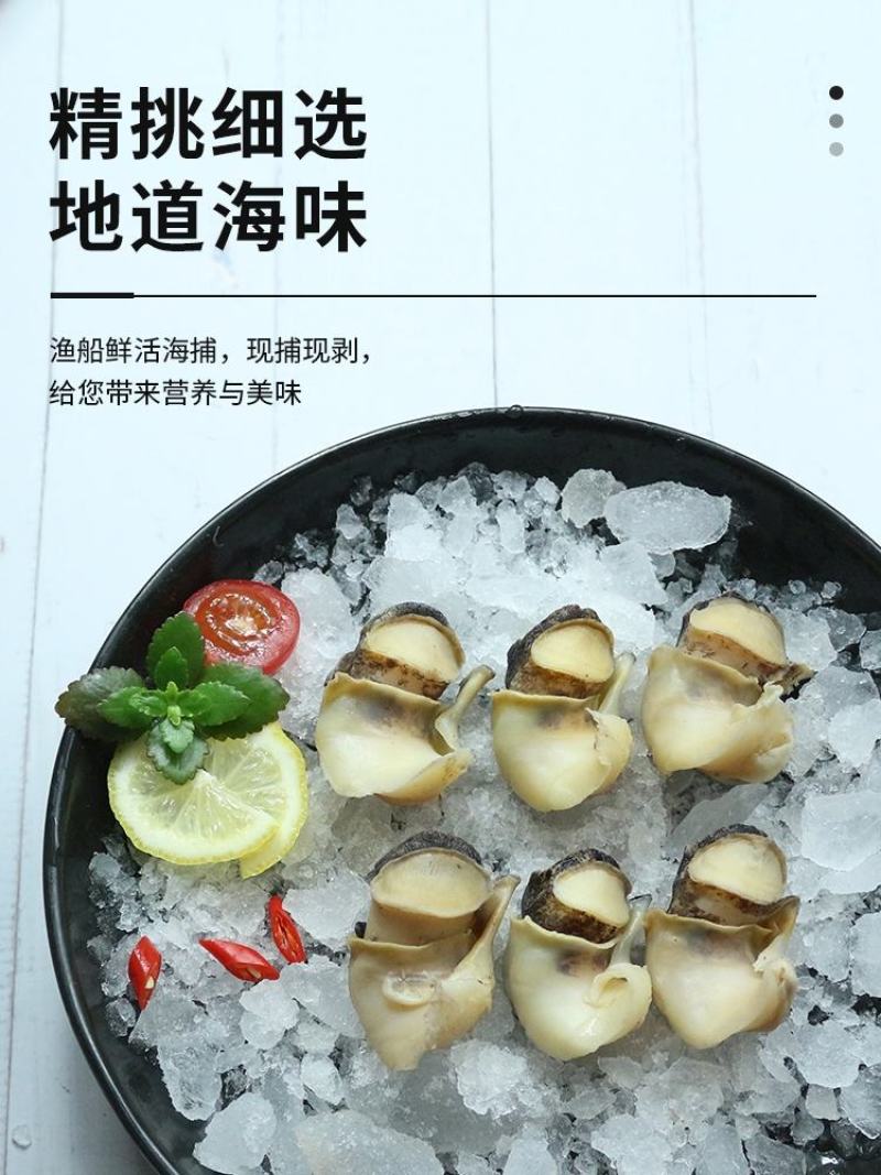 海螺肉，一箱20斤百分之20冰衣
