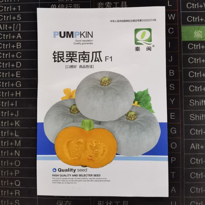 银栗南瓜种子板栗味南瓜种籽新疆板栗南瓜种子农家庭院大田用