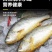 鲜活冷冻黄花鱼