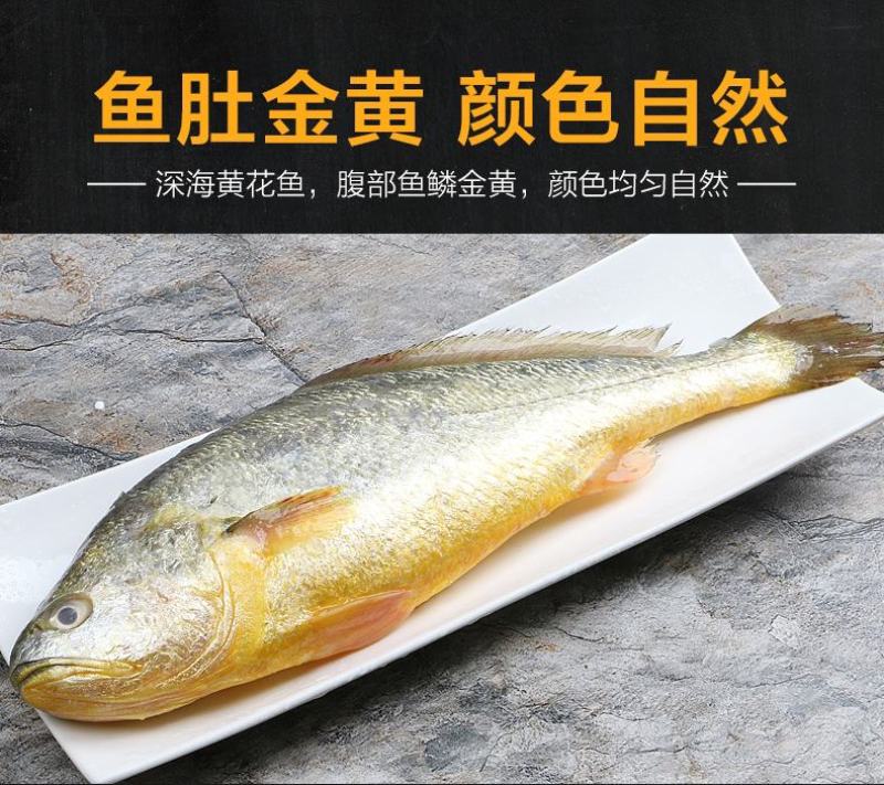 鲜活冷冻黄花鱼
