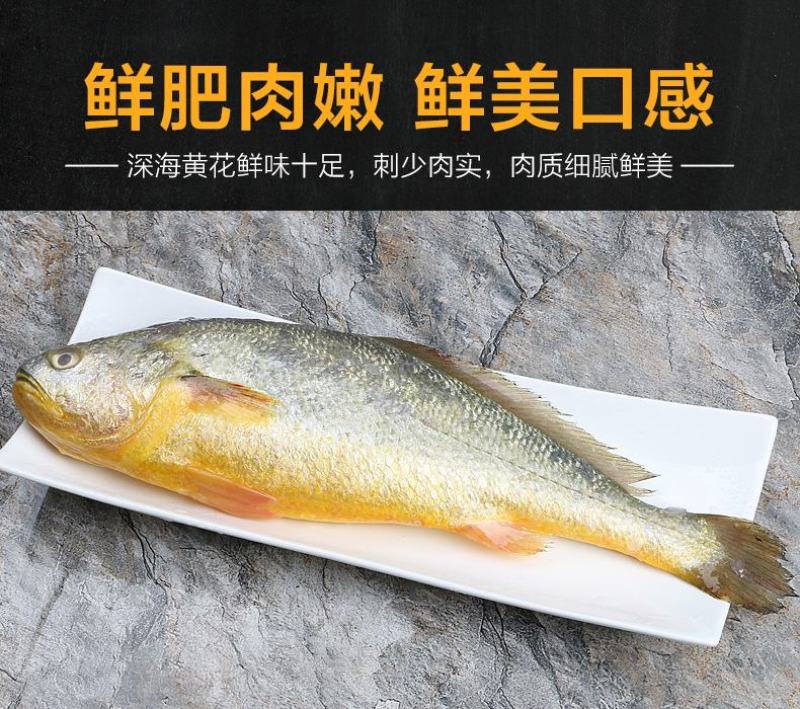鲜活冷冻黄花鱼