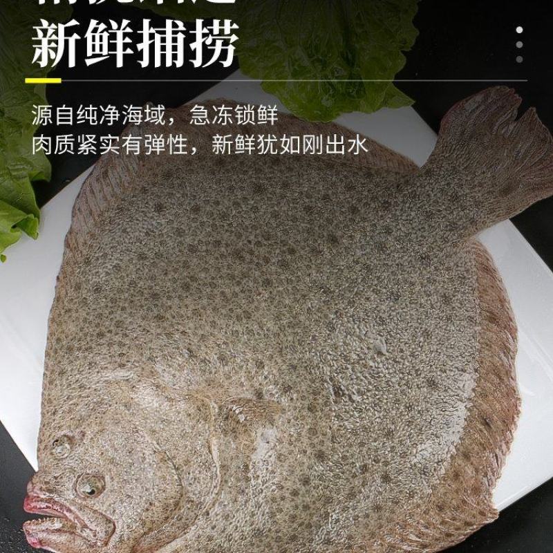 多宝鱼半斤规格需要大的联系