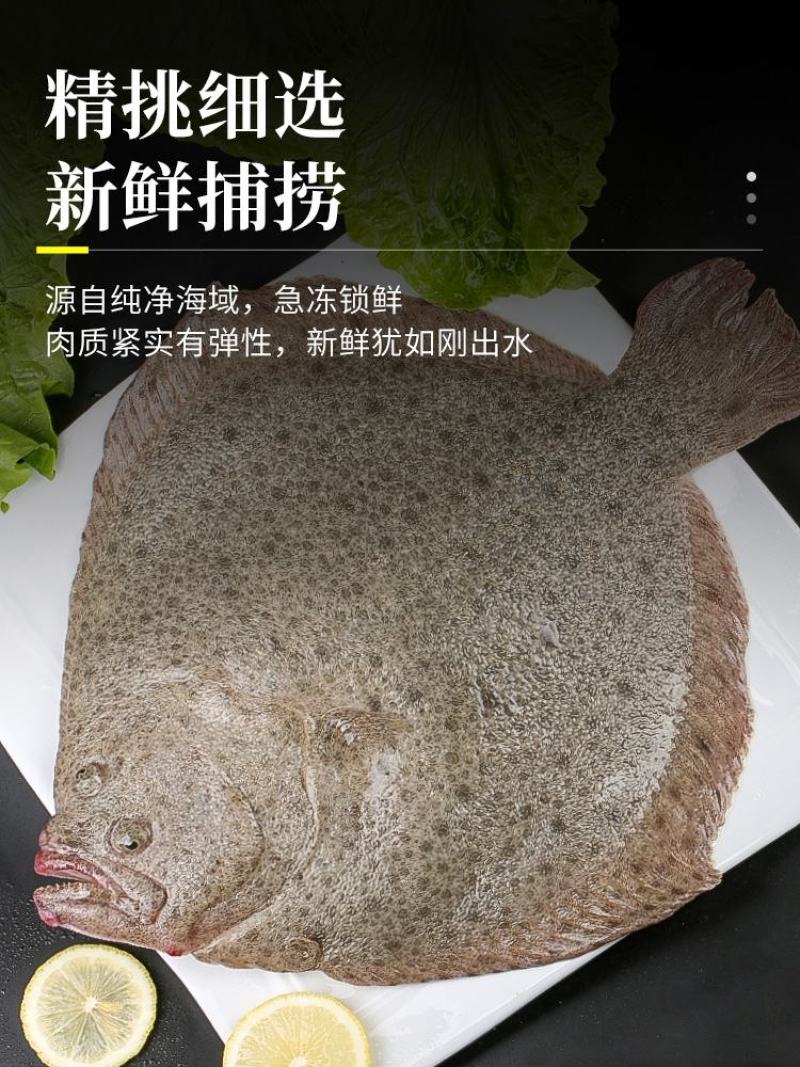 多宝鱼半斤规格需要大的联系