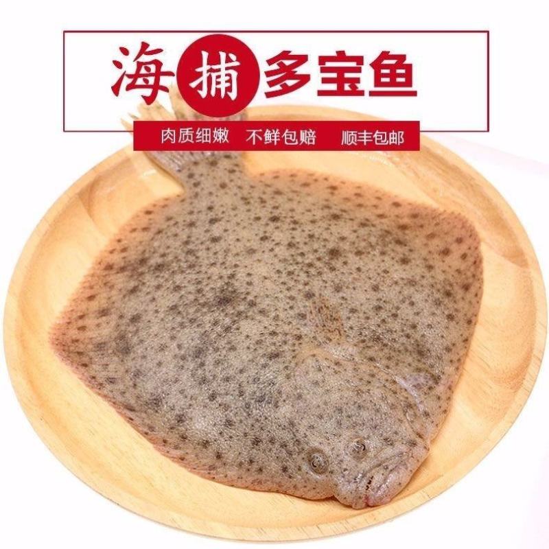 多宝鱼半斤规格需要大的联系