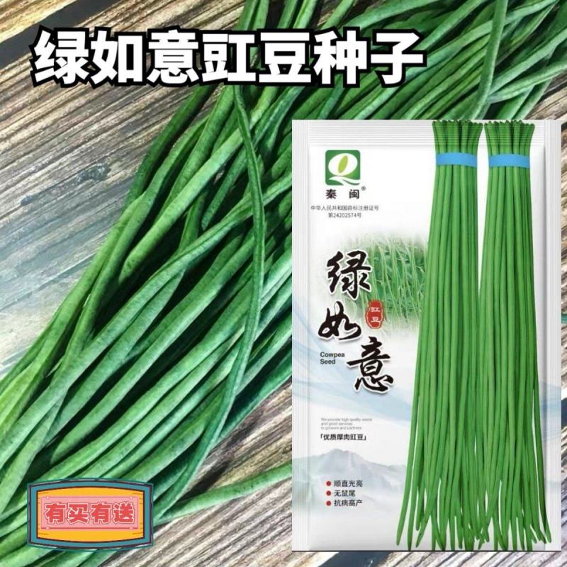 绿如意绿豇豆种子青条长豆角春季四季播农家庭院高产蔬菜
