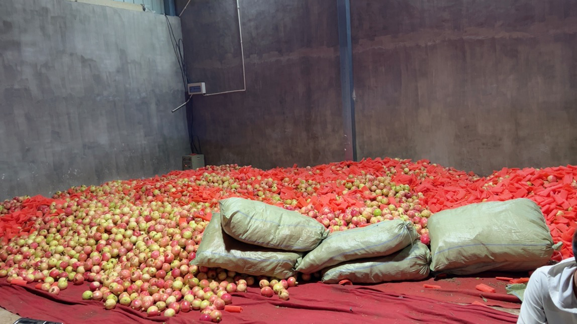 工人正在流水线分拣、称重、贴标、装箱,准备发往全国各地的软籽石榴订单 软籽石榴电商打包现场