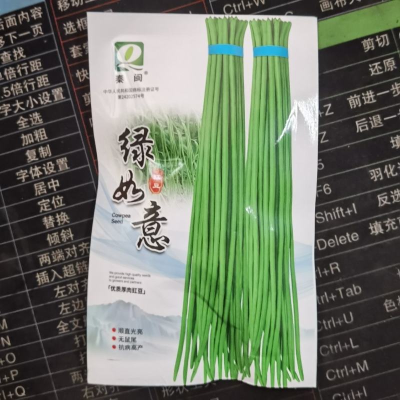 绿如意绿豇豆种子青条长豆角春季四季播农家庭院高产蔬菜