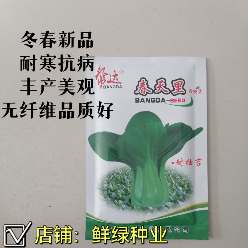 一代杂交冬春新品青梗菜种子耐寒抗病晚抽臺丰产无纤维品质优