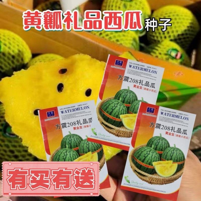 黄金宝黄瓤小西瓜种子小型礼品西瓜种子早熟汁多爽口农家庭院