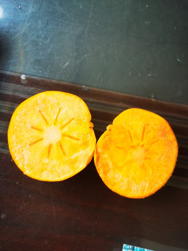 甜柿子苗阳丰脆甜柿子苗火葫芦柿子苗大量出售