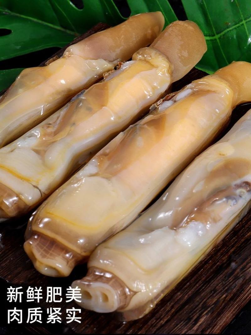 蛏王肉冷冻海鲜竹节蛏新鲜蛏子肉速冻蛏子王火锅圣子肉