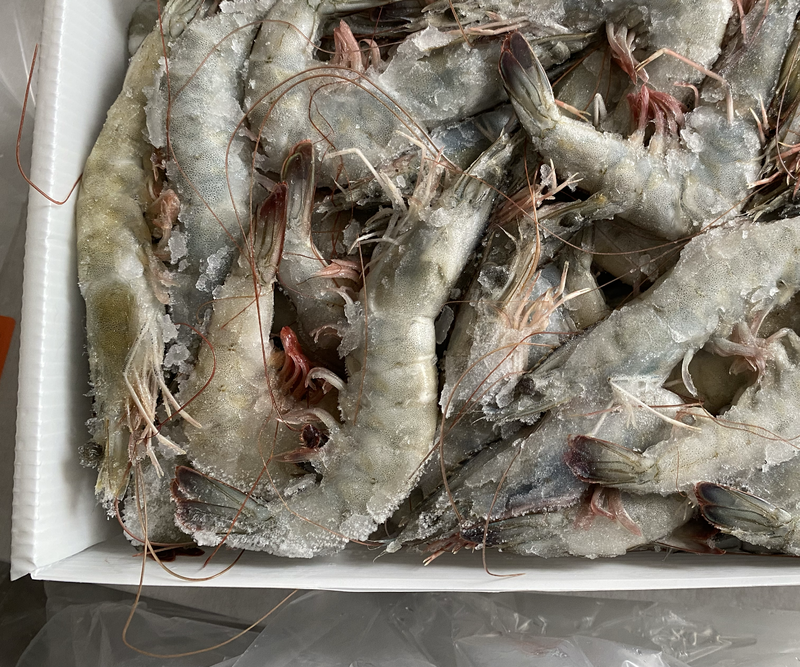 大虾桑塔南美白对虾印尼对虾9.9公斤大虾对虾厂家批发
