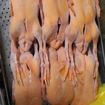 黄皮全鸭，