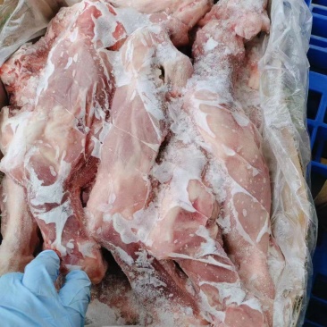 带腱前后腿骨