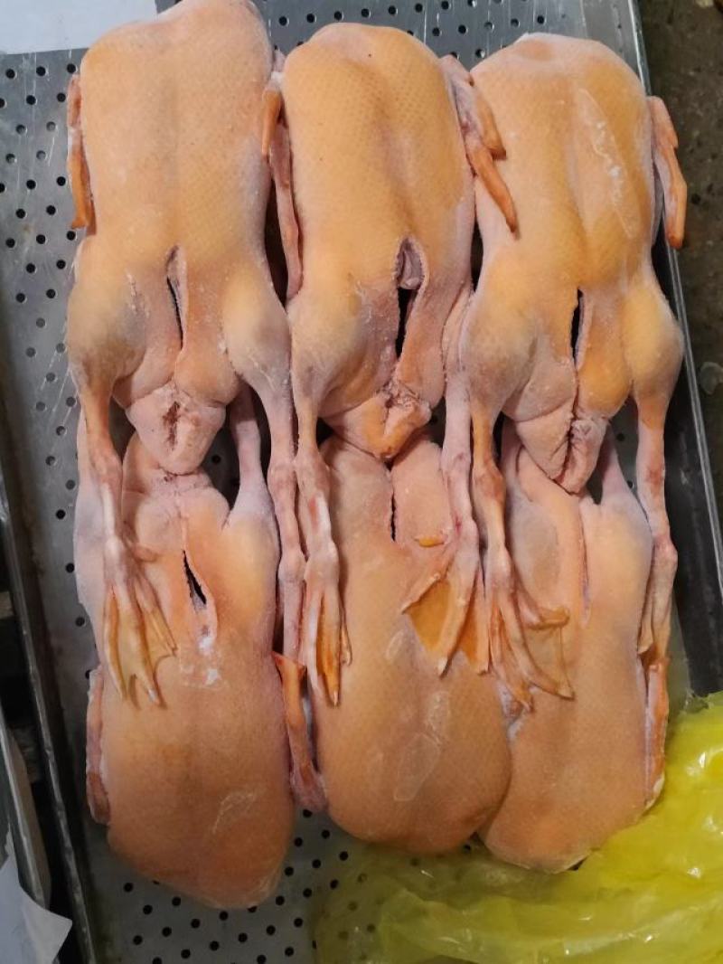 黄皮全鸭，