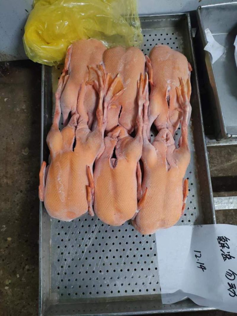 黄皮全鸭，