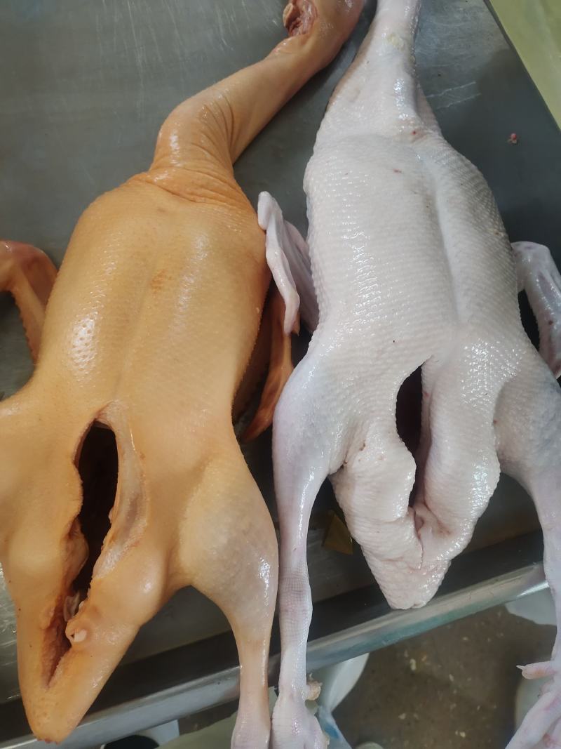 黄皮全鸭，