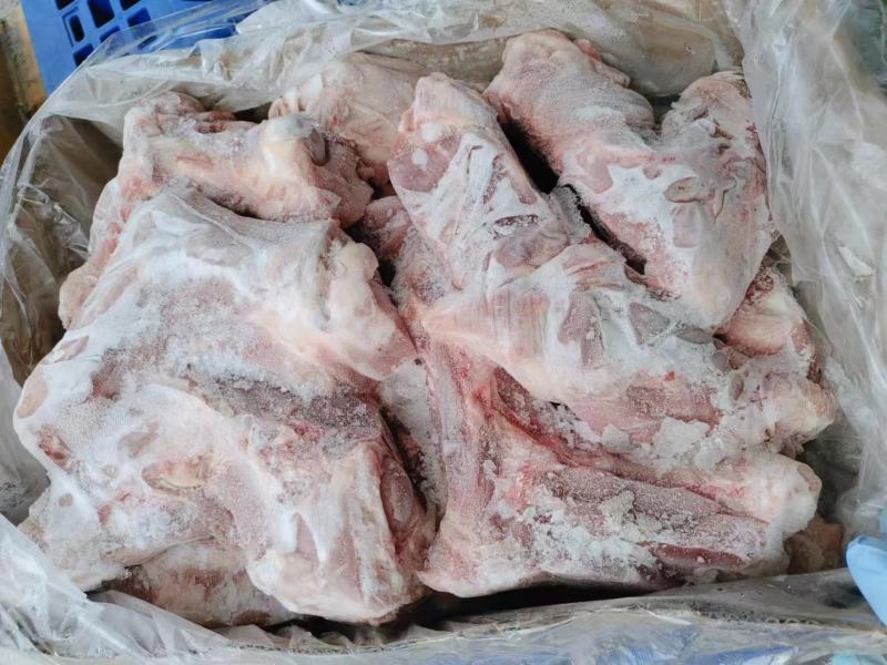 带腱前后腿骨