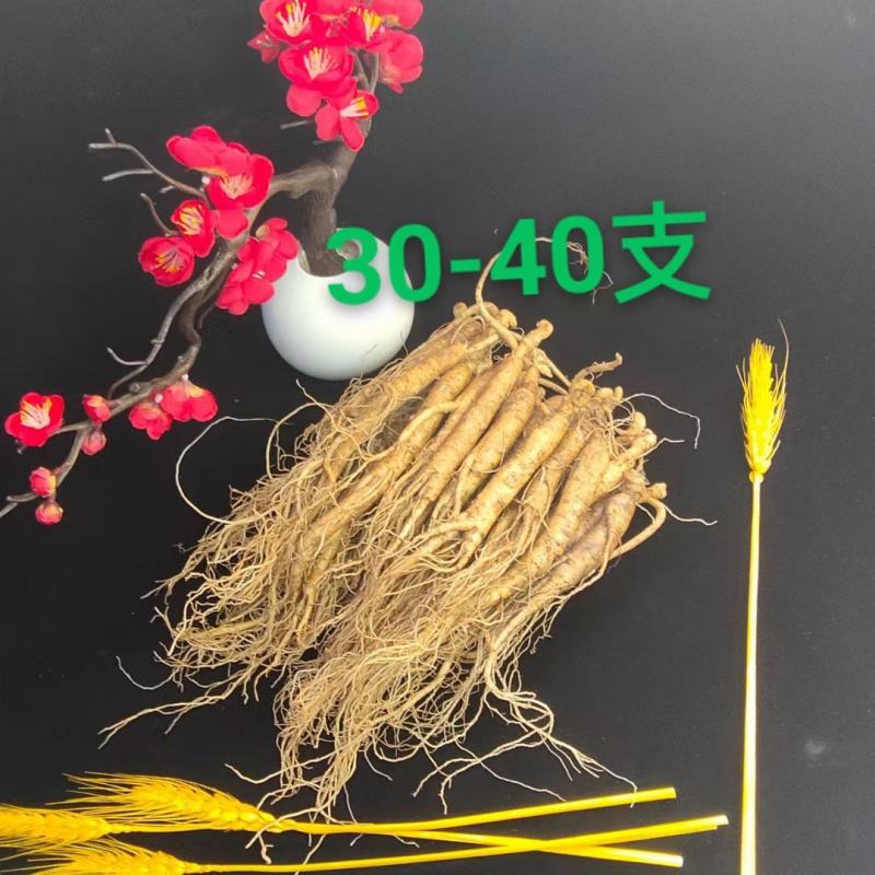 长白山鲜人参，现挖先发，量大优惠，支持一件代发